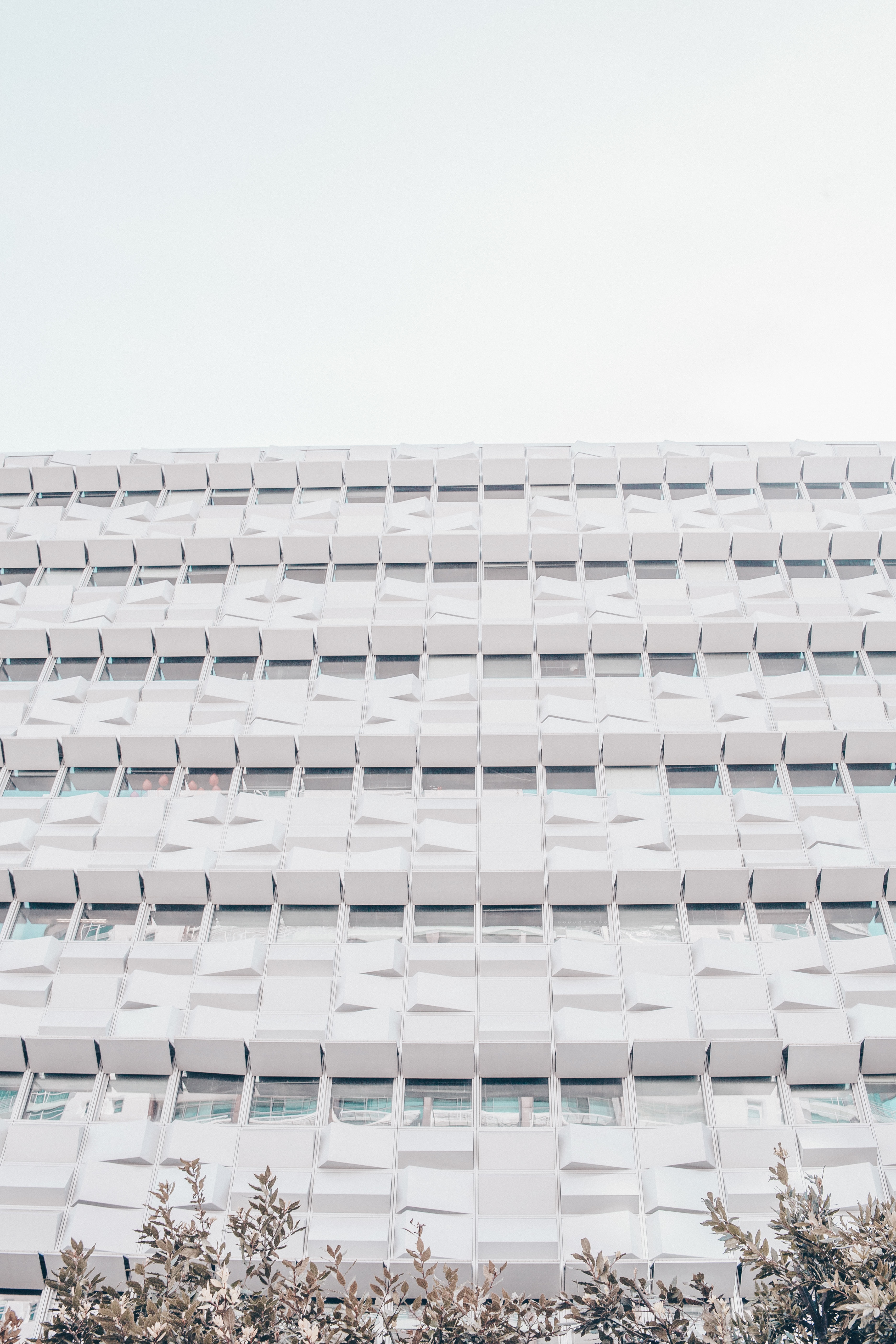 A white glass building rising against the sky